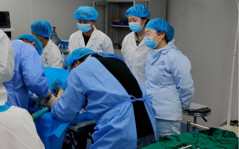 與您同行 | 國聯(lián)質(zhì)檢成功助力大博醫(yī)療「金屬骨針」獲批上市