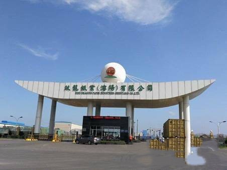 玖龍紙業(yè)（沈陽）有限公司