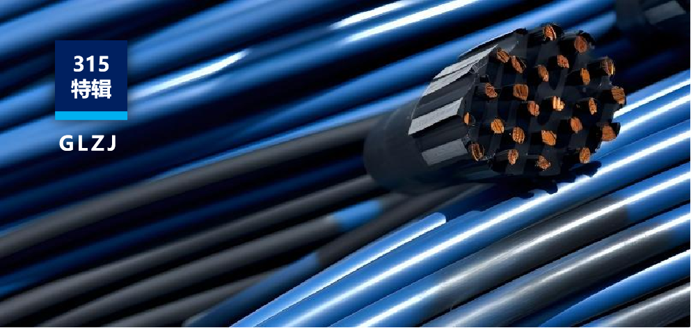 315揭秘“非標(biāo)線”陷阱！國聯(lián)質(zhì)檢：一站式檢測服務(wù)斬?cái)喾菢?biāo)線產(chǎn)業(yè)鏈